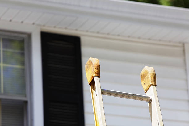 Best Hoarding Cleanup  in Pepeekeo, HI